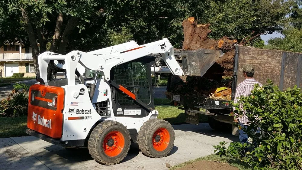 Reliable garden landscaping experts serving Altadena, CA - Dream Scape Inc