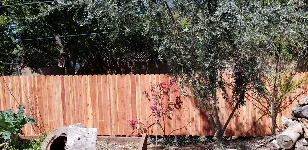 Reliable lawn care service in Altadena, CA - Dream Scape Inc