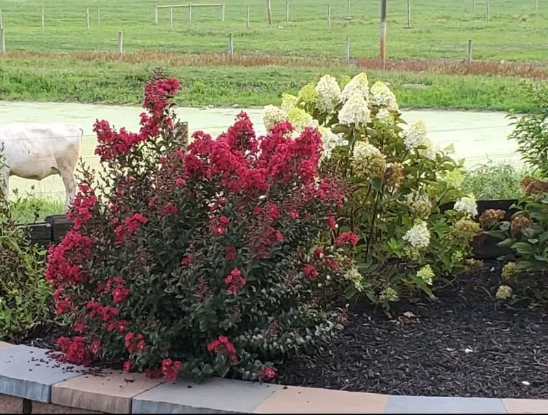 Top-rated yard maintenance in Hagerstown, MD by Dream Scapes