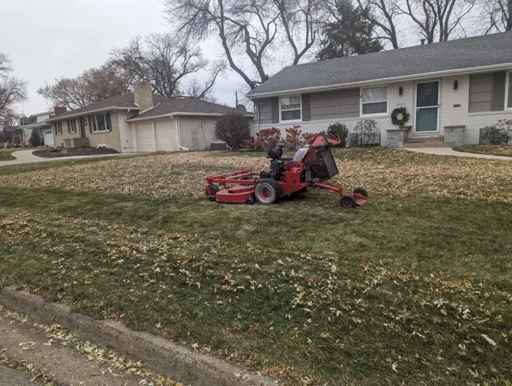 Trusted yard cleanup service with custom design in Saint Paul Park, MN by Dream Scope Industries