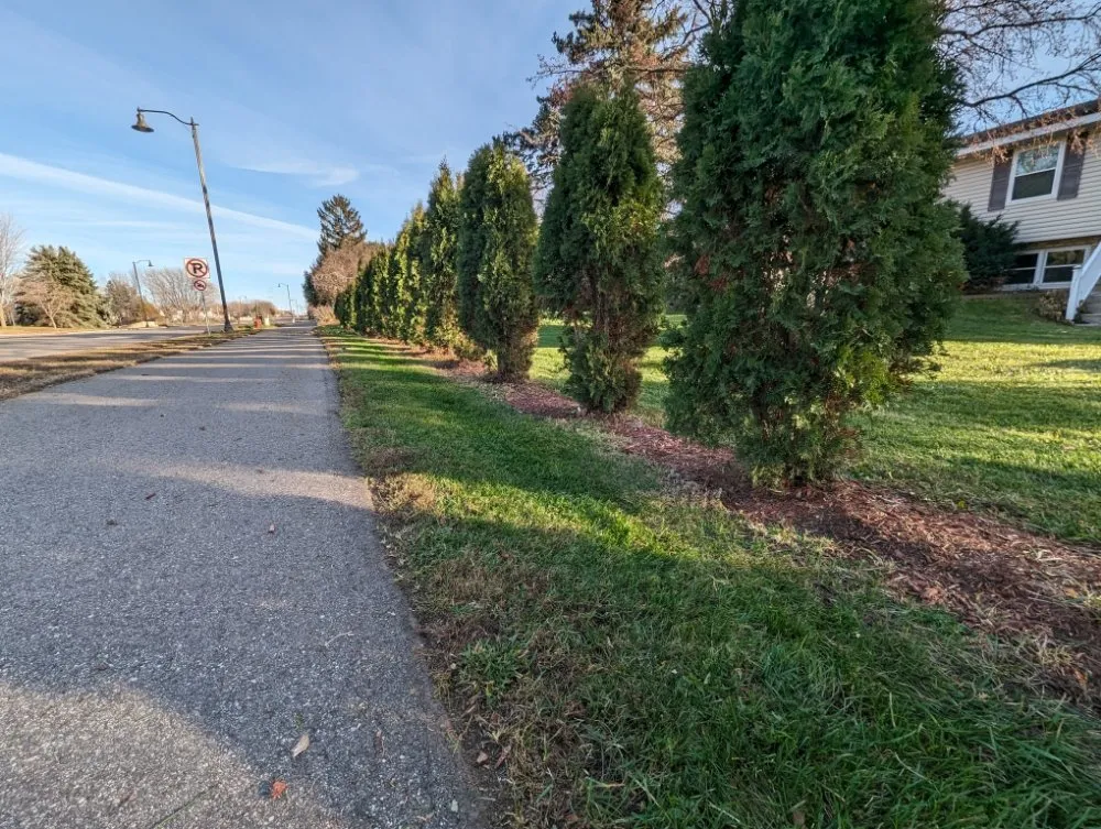 Professional landscape installation in Saint Paul Park, MN by Dream Scope Industries