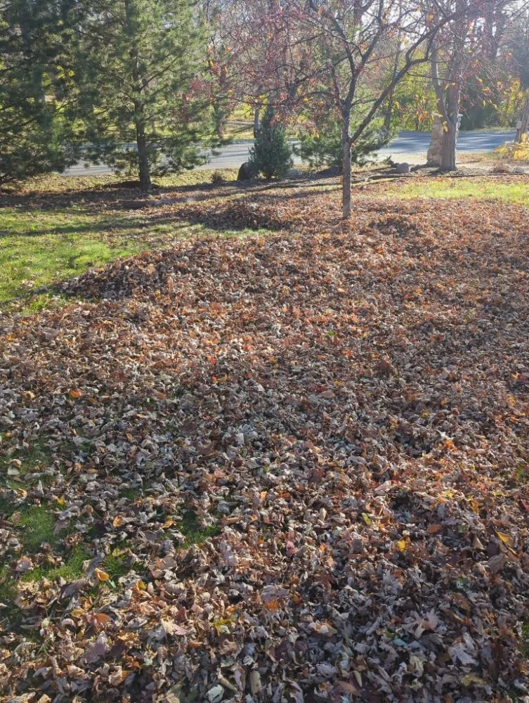 Expert landscape design in Saint Paul Park, MN by Dream Scope Industries