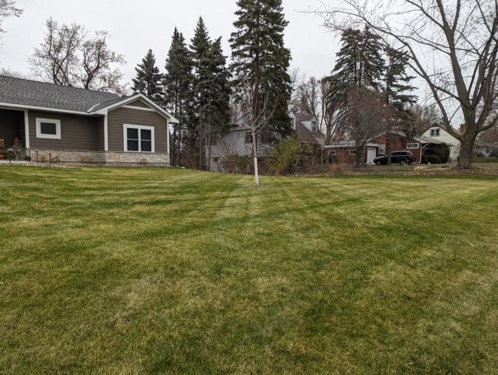 Expert landscape design for beautiful yards in Saint Paul Park, MN by Dream Scope Industries