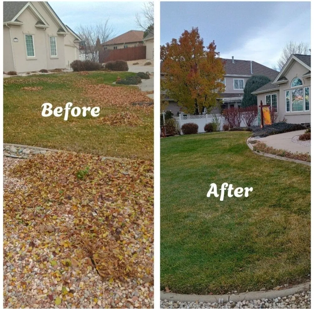 Local yard maintenance in Evans, CO - Dream Space Renovations