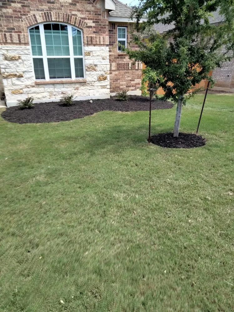 Reliable landscape installation in Converse, TX by Dream Team Lawn And Landscape
