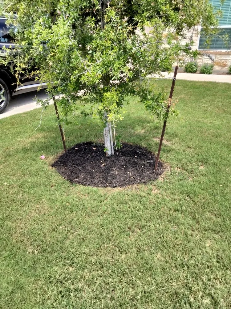 Expert landscaping services in Converse, TX by Dream Team Lawn And Landscape