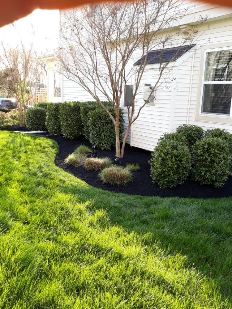 Affordable yard cleanup service in North Englewood, MD by Dream Terra