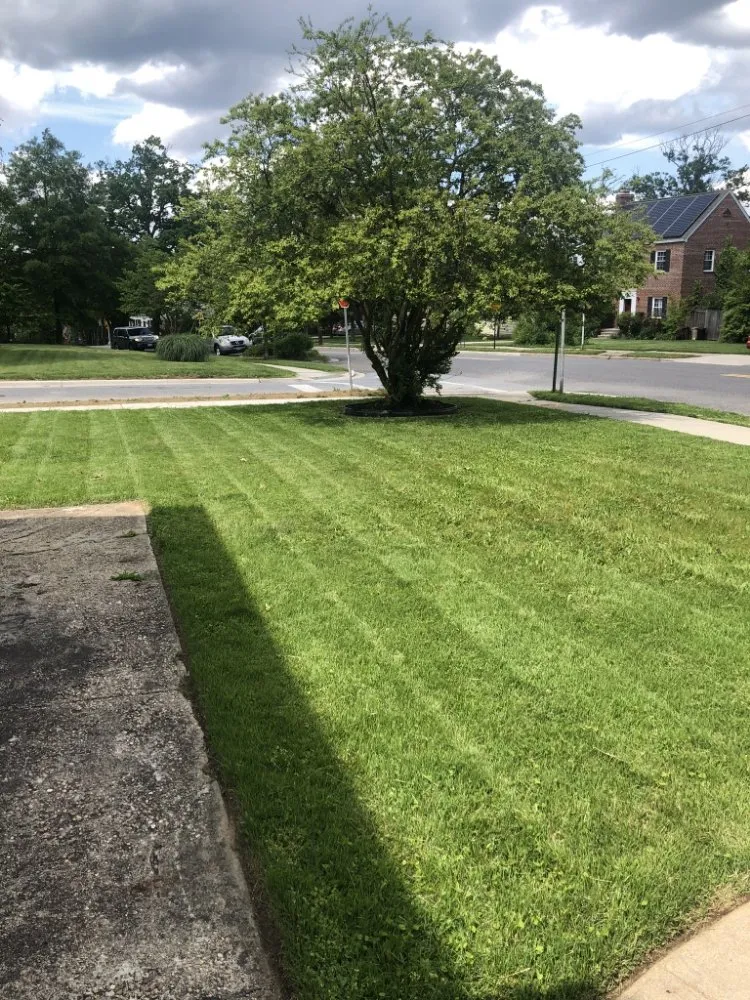 Affordable landscape design in North Englewood, MD by Dream Terra