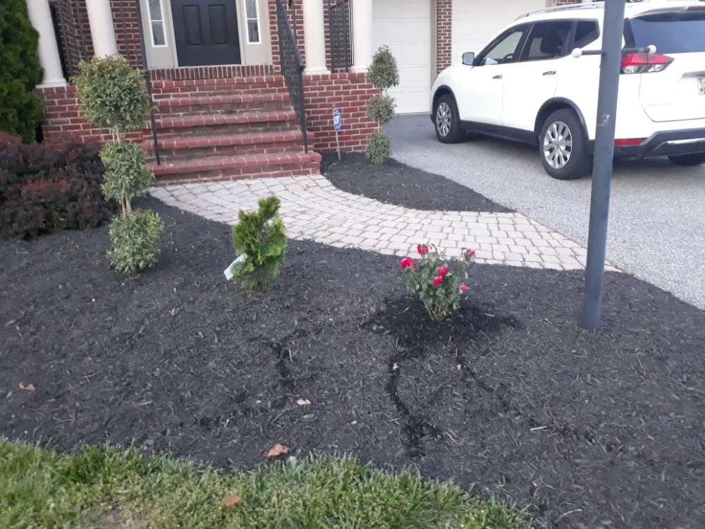 Top-rated lawn care service for beautiful yards in North Englewood, MD by Dream Terra