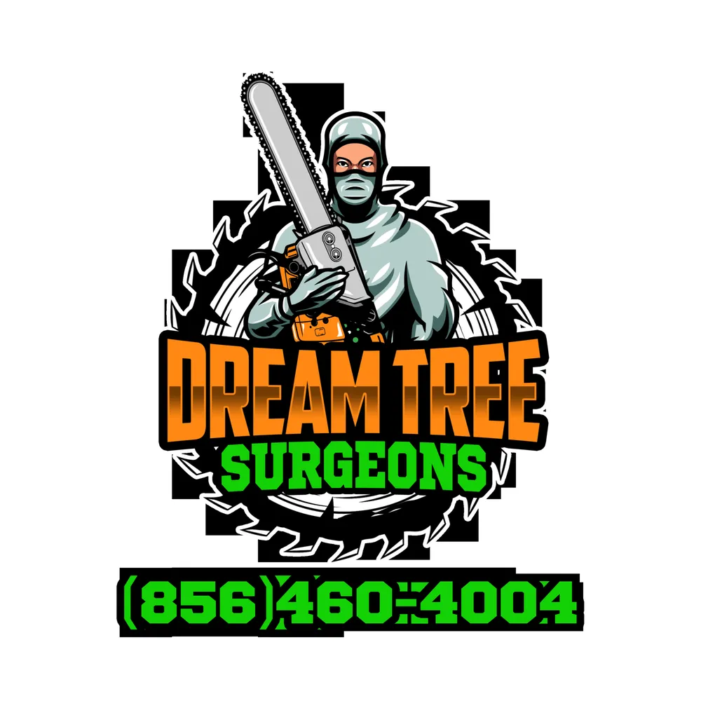 Trusted yard maintenance in Burlington, NJ by Dream Tree Surgeons