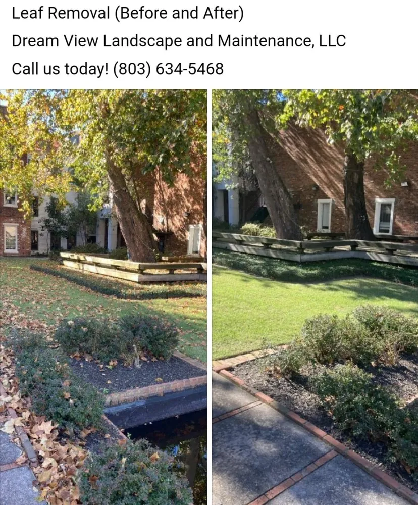 Top-rated outdoor landscaping for beautiful yards in North Augusta, SC by Dream View Landscape & Maintenance