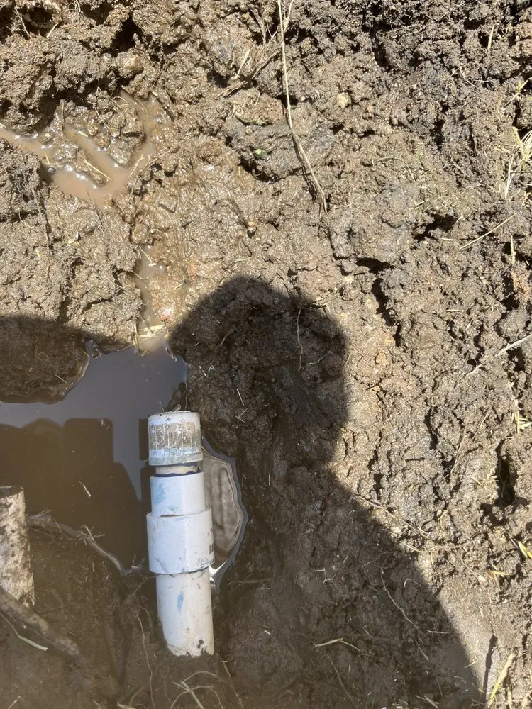 Reliable garden landscaping experts serving Apple Valley, CA - Dream View Landscape and Maintenance