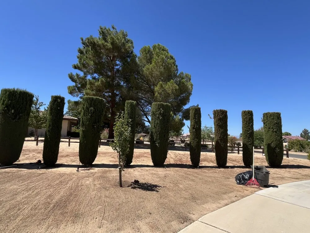 Affordable yard maintenance experts serving Apple Valley, CA - Dream View Landscape and Maintenance