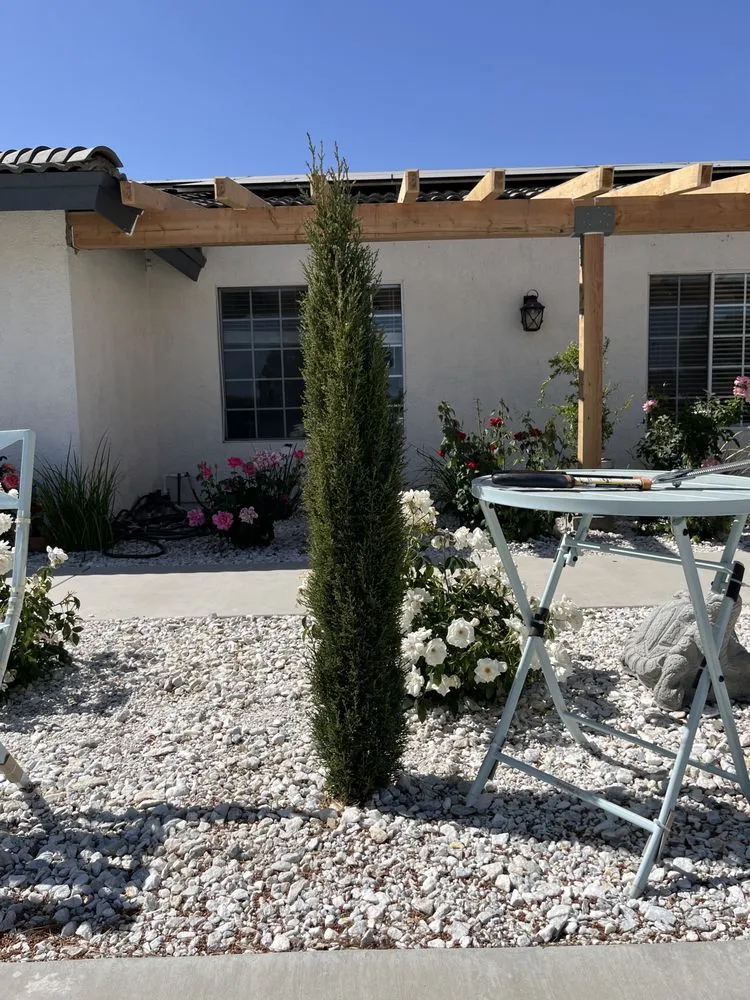 Top-rated yard maintenance experts serving Apple Valley, CA - Dream View Landscape and Maintenance