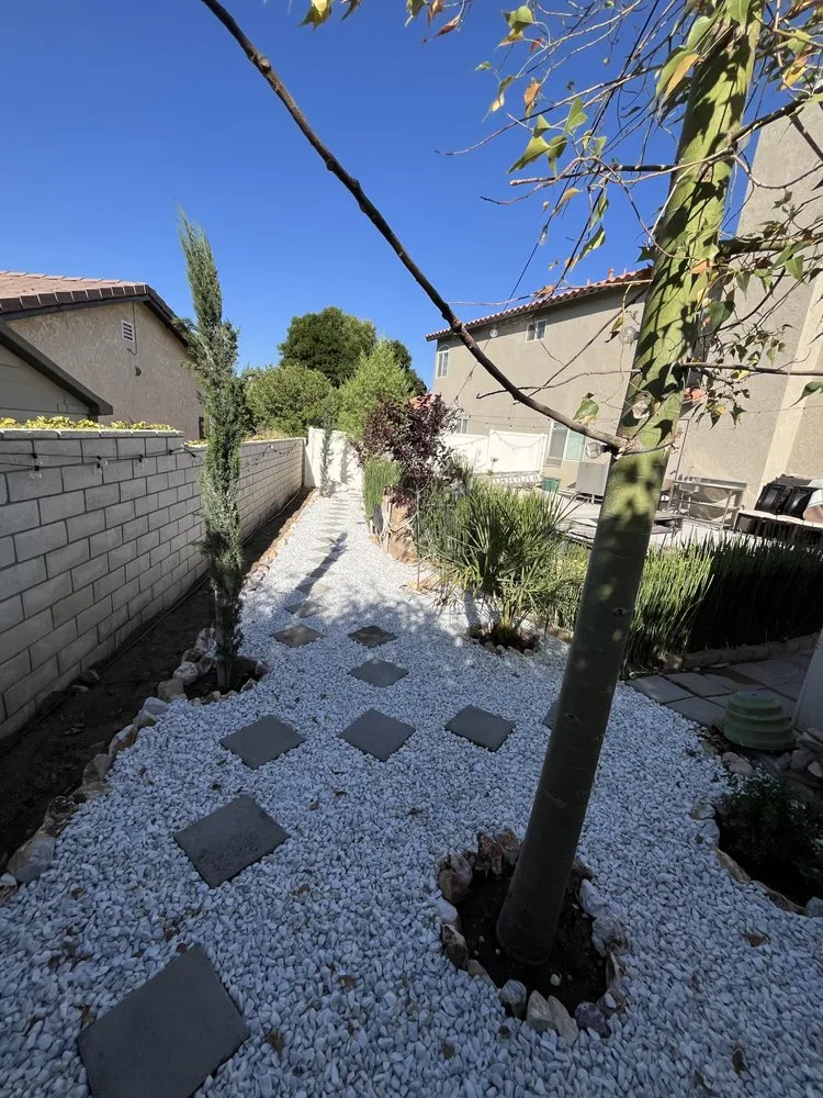 Trusted lawn mowing service in Apple Valley, CA - Dream View Landscape and Maintenance