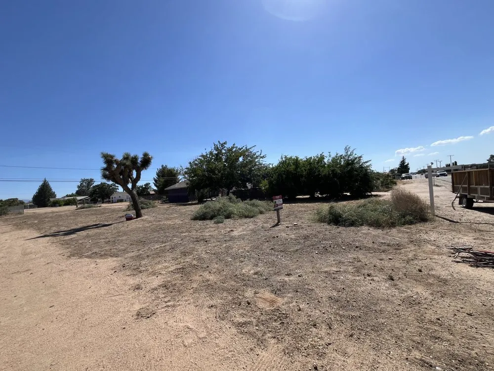 Expert yard cleanup service in Apple Valley, CA by Dream View Landscape and Maintenance