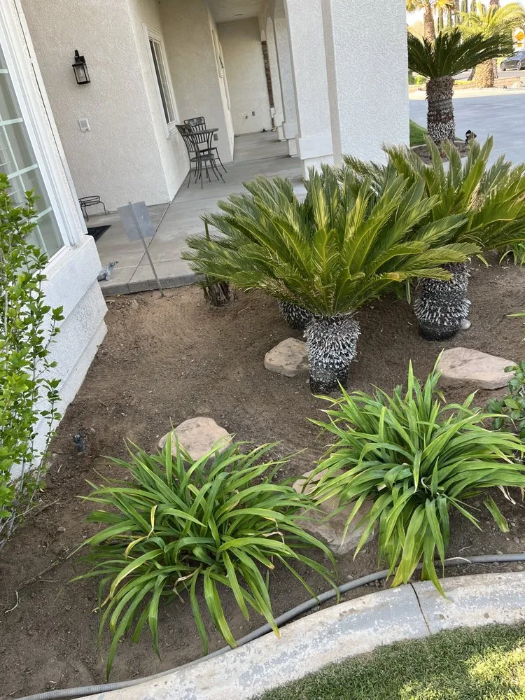 Top-rated yard maintenance in Apple Valley, CA - Dream View Landscape and Maintenance