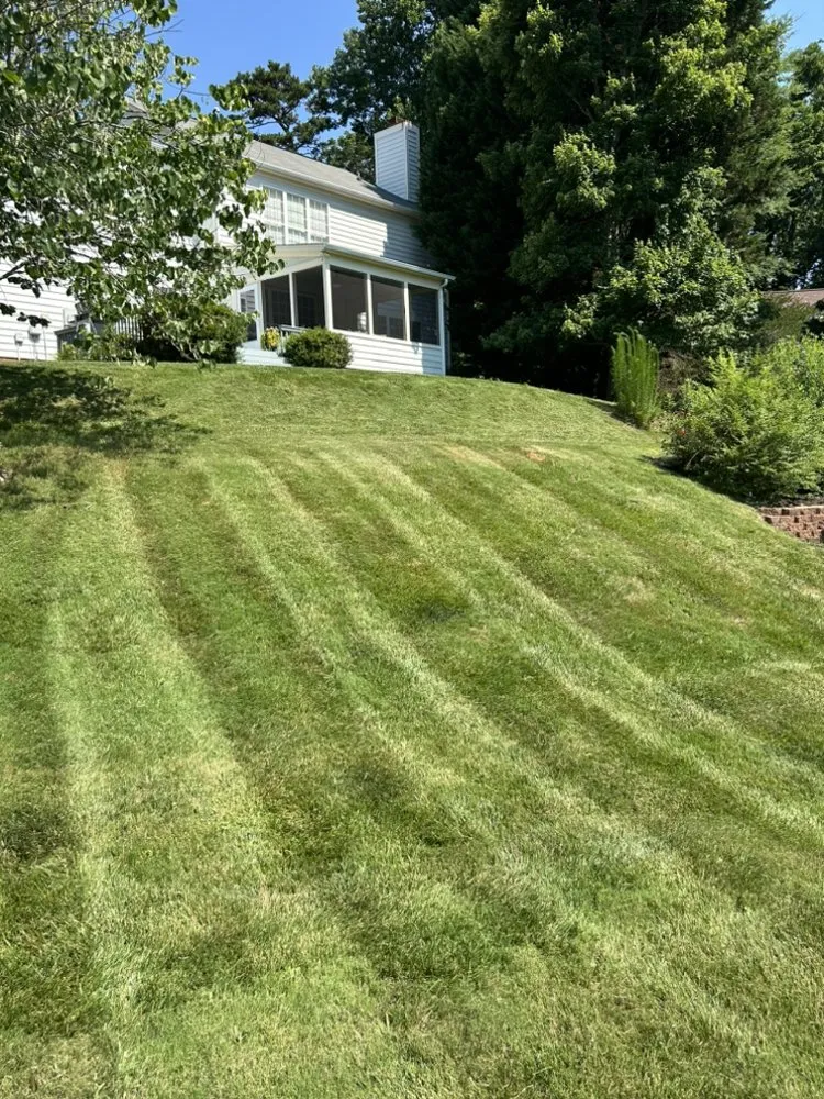 Professional yard maintenance in Concord, NC - Dream Yard Lawn Maintenance