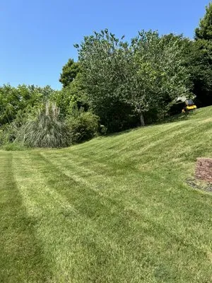 Dream Yard Lawn Maintenance Logo