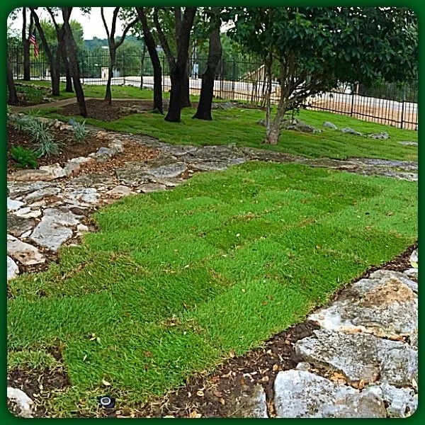 Top-rated lawn care service with custom design in Bulverde, TX by Dream Yards