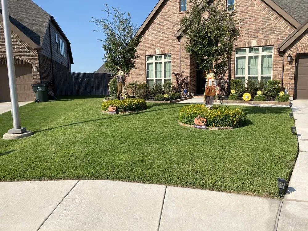 Expert garden landscaping in Bulverde, TX - Dream Yards