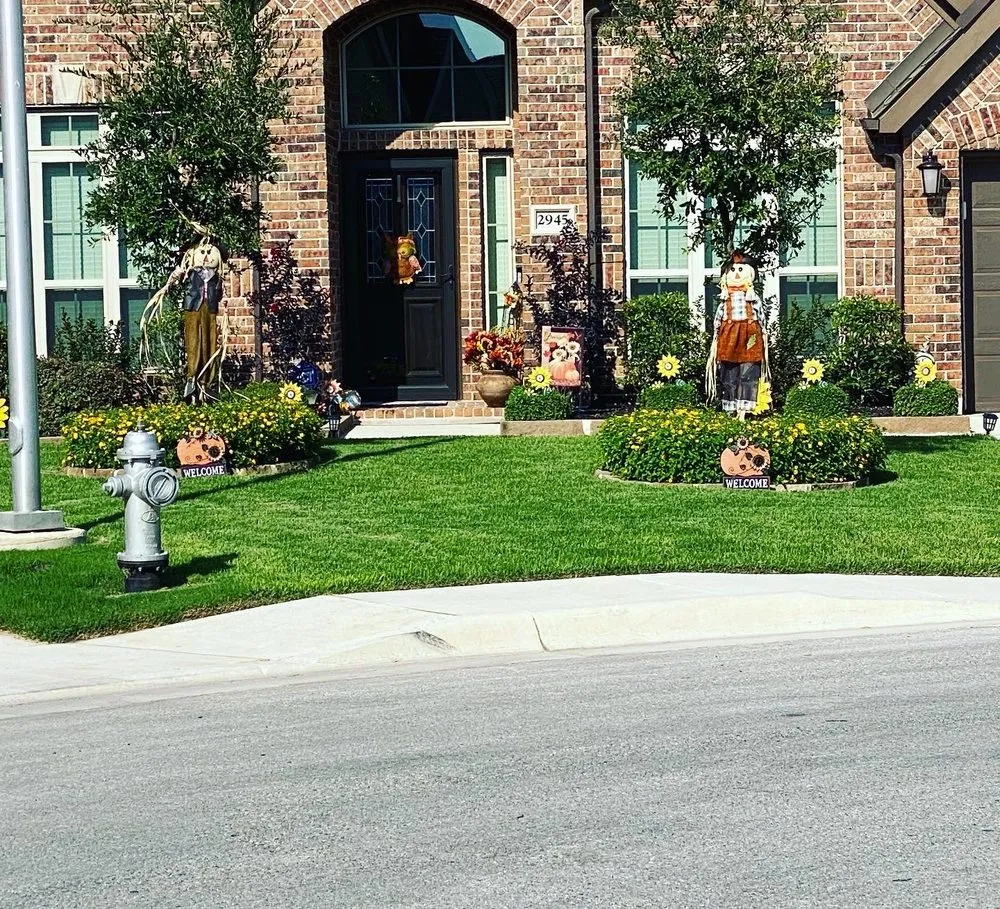 Expert residential landscaping for beautiful yards in Bulverde, TX by Dream Yards