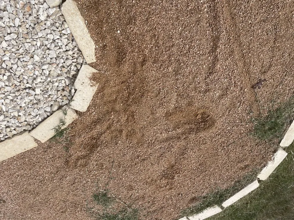 Affordable yard cleanup service for year-round maintenance across Bulverde, TX - Dream Yards