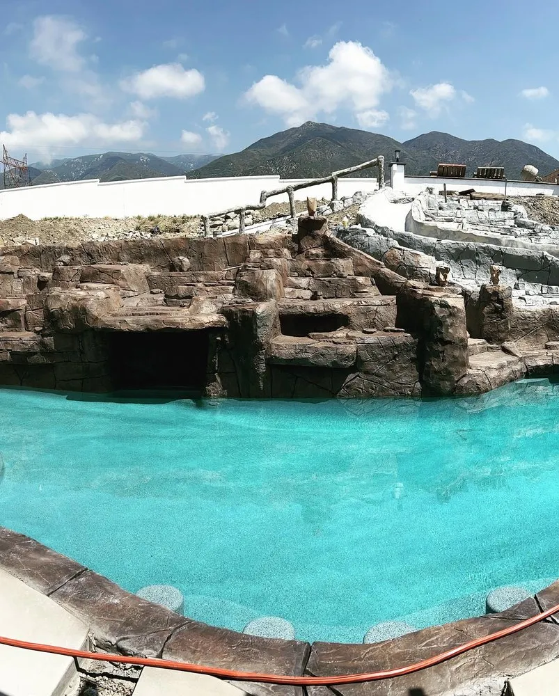 Local landscaping services for year-round maintenance in Temecula, CA by Dream Yards DIY