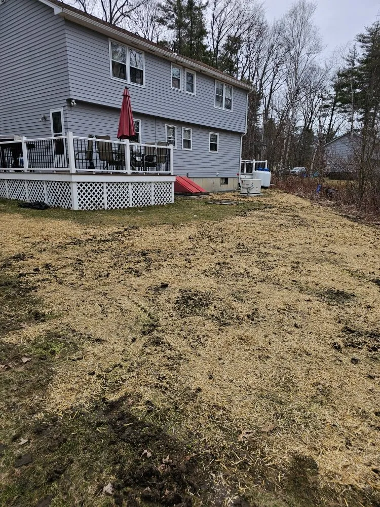 Top-rated yard cleanup service for beautiful yards in Raymond, NH by Dream Yards