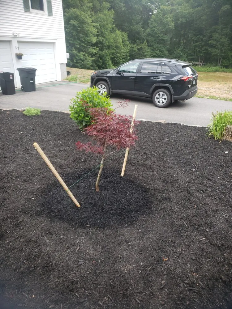 Top-rated yard cleanup service in Raymond, NH by Dream Yards