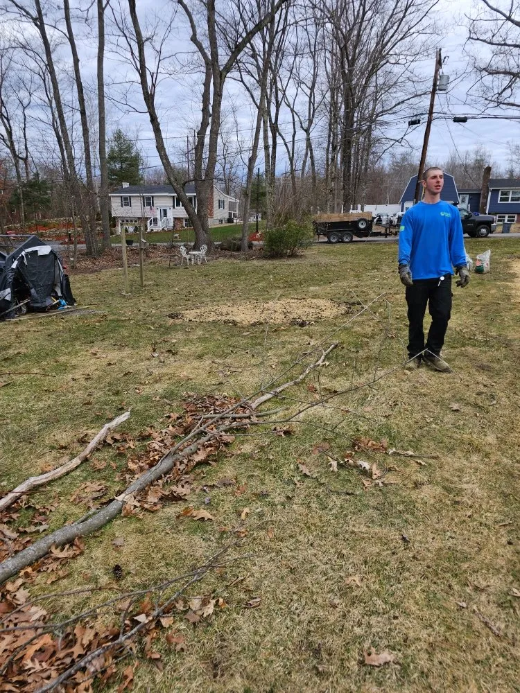 Top-rated outdoor landscaping for beautiful yards in Raymond, NH by Dream Yards