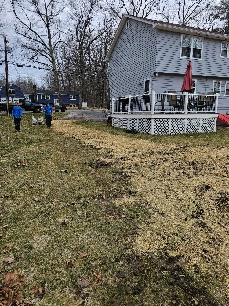 Professional landscape design in Raymond, NH - Dream Yards