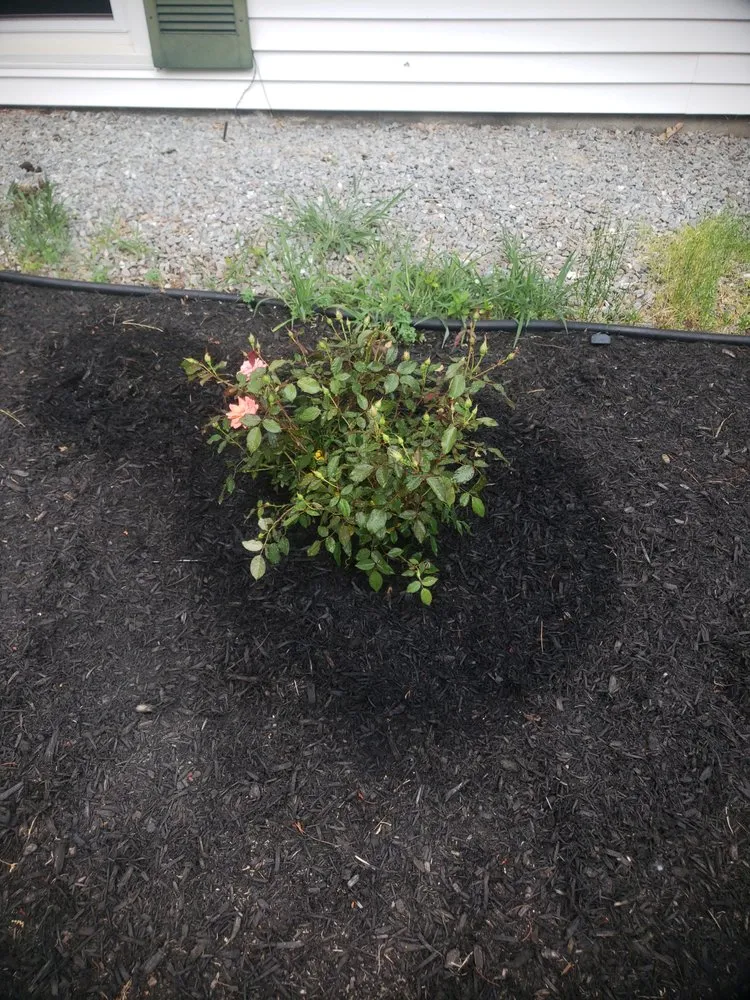 Trusted landscape installation experts serving Raymond, NH - Dream Yards