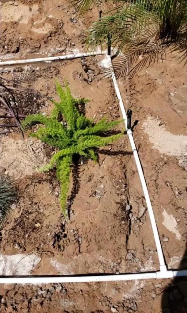 Trusted outdoor landscaping in Yuma, AZ by Dream Yards Sprinkler Systems And Irrigation Maintenance