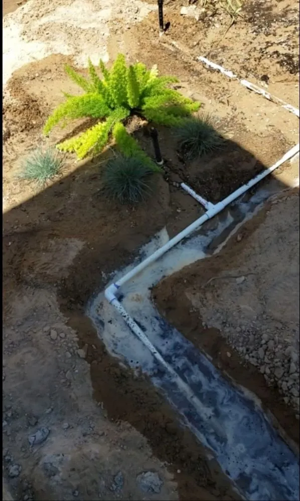 Top-rated lawn care service for beautiful yards across Yuma, AZ - Dream Yards Sprinkler Systems And Irrigation Maintenance