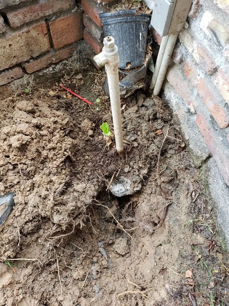 Custom yard cleanup service for homes across Yuma, AZ - Dream Yards Sprinkler Systems And Irrigation Maintenance