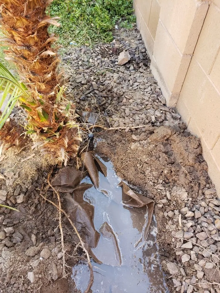 Expert residential landscaping for homes in Yuma, AZ by Dream Yards Sprinkler Systems And Irrigation Maintenance