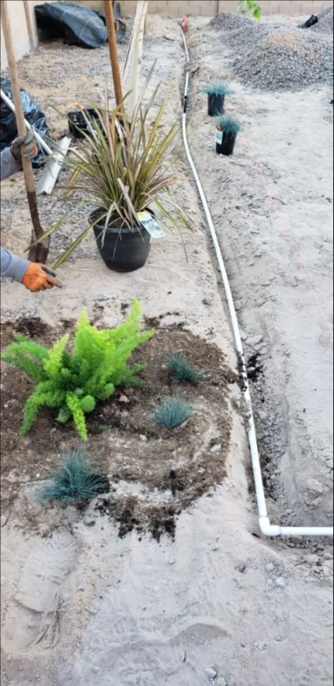 Affordable residential landscaping in Yuma, AZ by Dream Yards Sprinkler Systems And Irrigation Maintenance