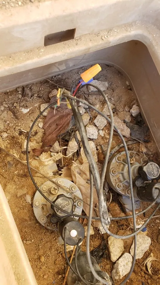 Local landscape installation in Yuma, AZ - Dream Yards Sprinkler Systems And Irrigation Maintenance