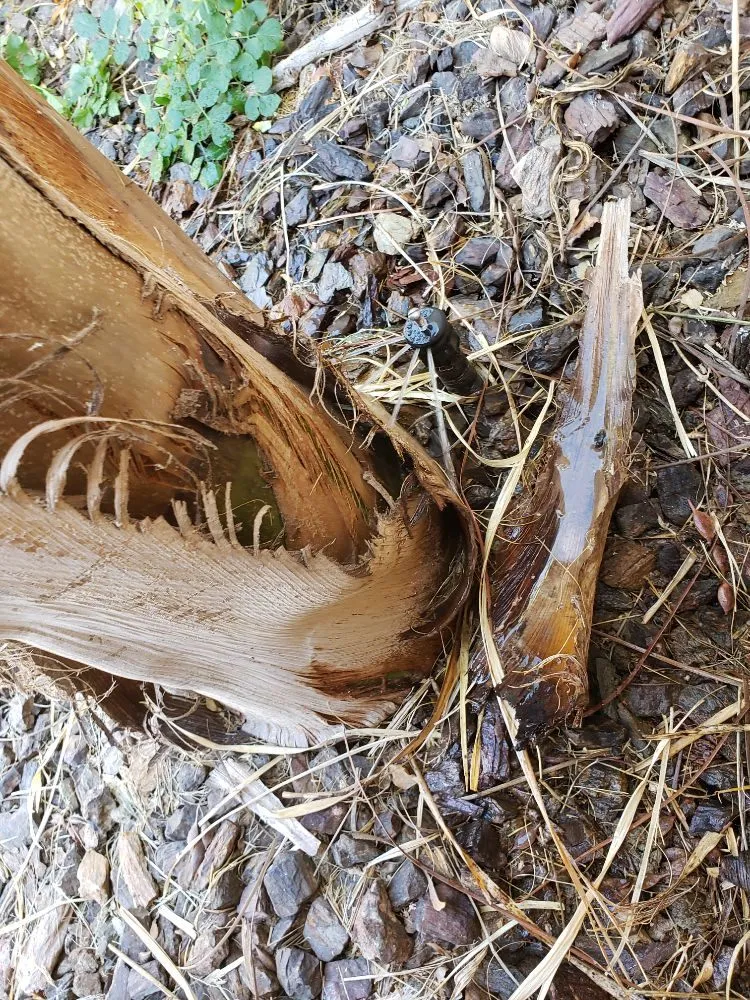 Expert landscape design for homes across Yuma, AZ - Dream Yards Sprinkler Systems And Irrigation Maintenance