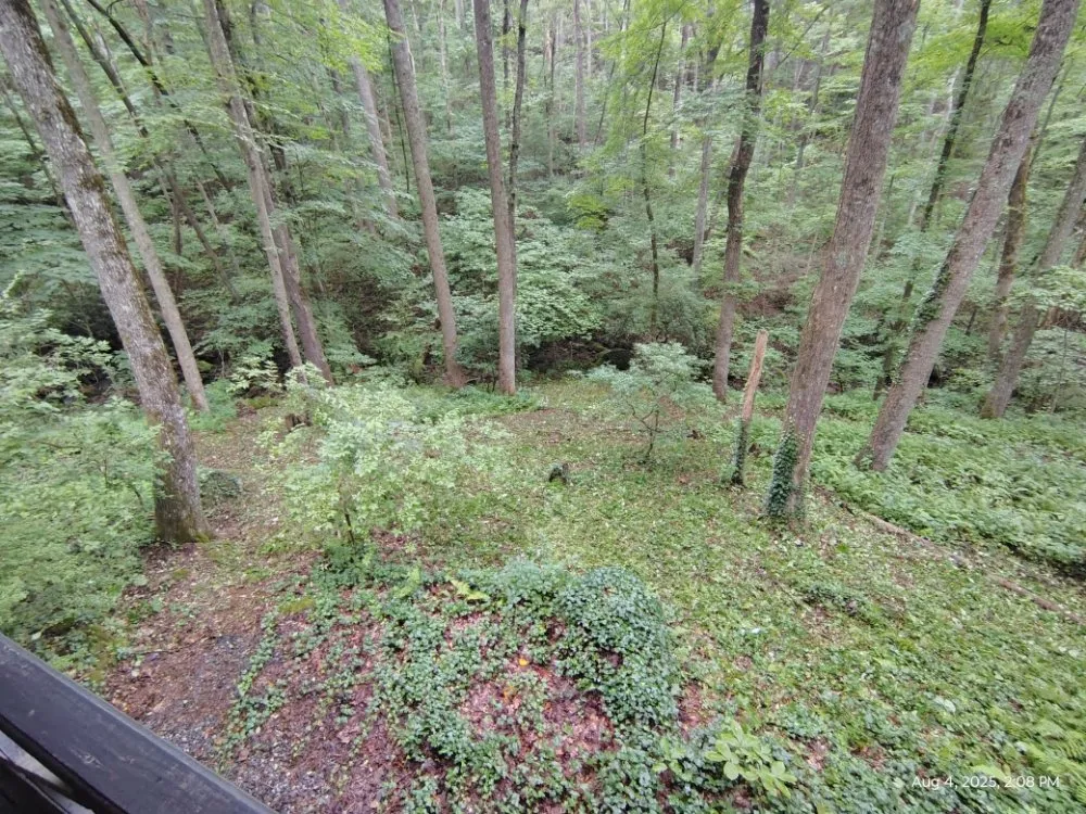 Expert landscaping services in Blairsville, GA - Dreamcatcher Cabin Cleaning & Lawn Care
