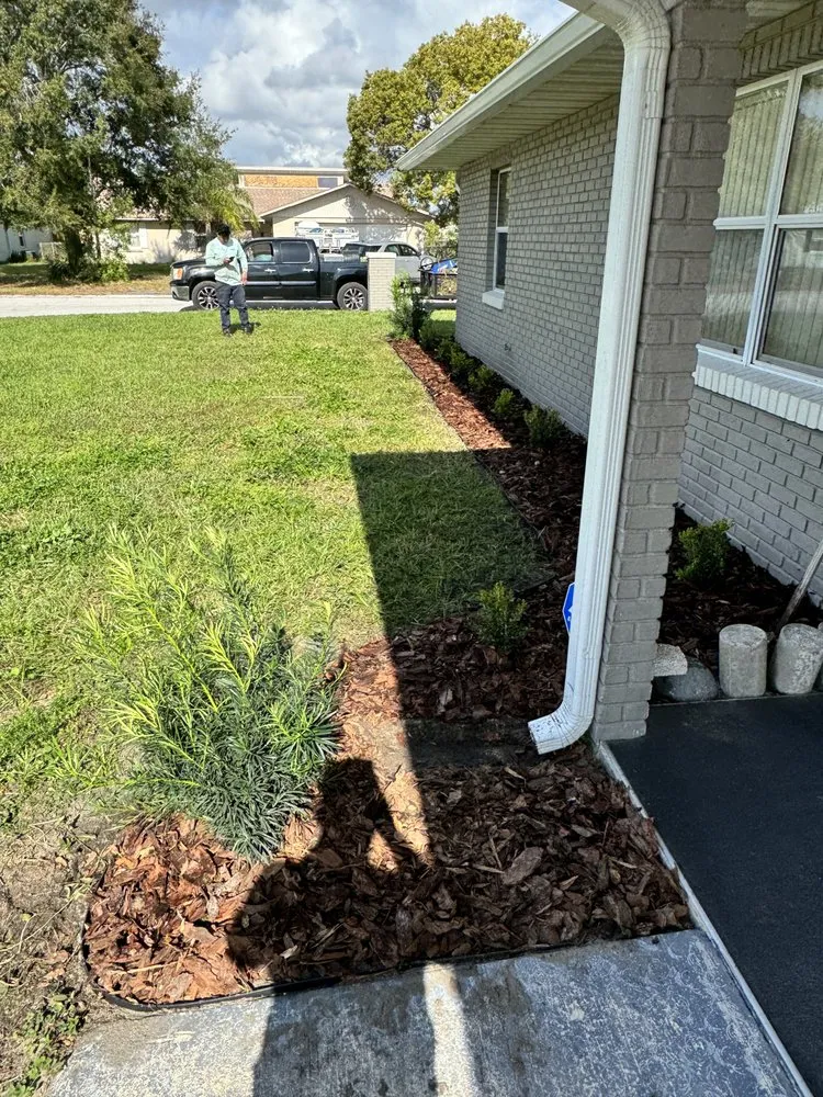 Top-rated residential landscaping in Lakeland, FL - Dreamers Landscape and Lawn Care Service