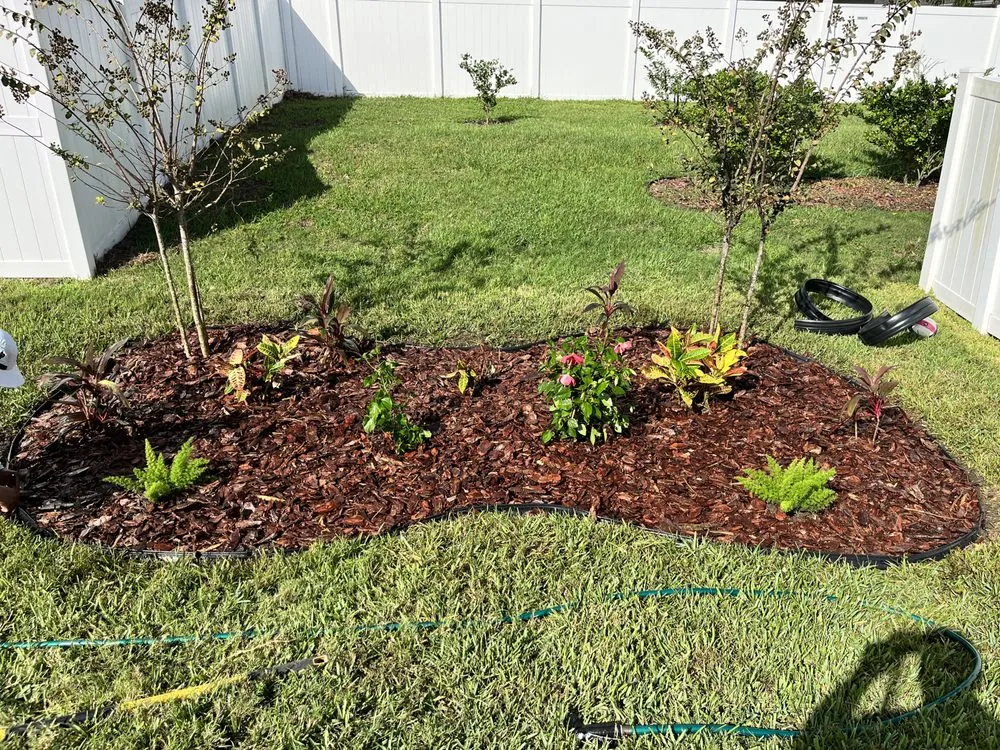 Trusted yard maintenance in Lakeland, FL - Dreamers Landscape and Lawn Care Service
