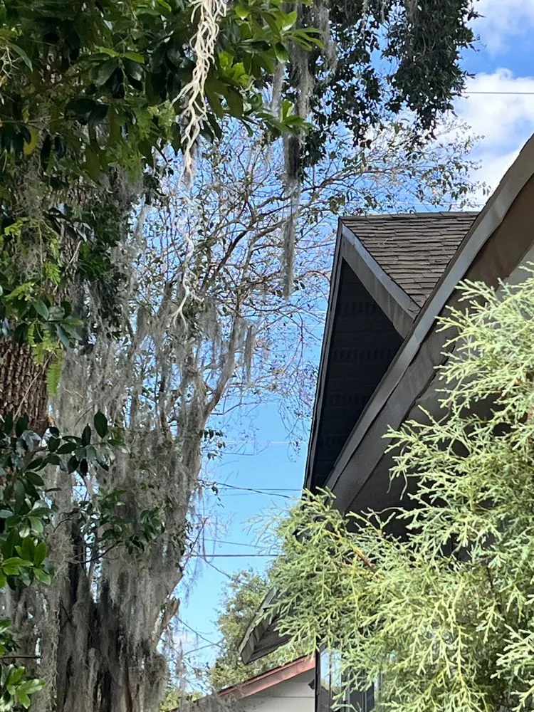 Reliable lawn care service in Lakeland, FL - Dreamers Landscape and Lawn Care Service