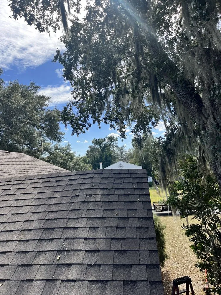 Custom outdoor landscaping for residential properties in Lakeland, FL by Dreamers Landscape and Lawn Care Service