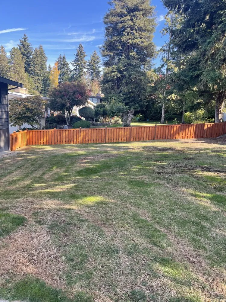 Expert garden landscaping for beautiful yards in Seattle, WA by Dreamer’s Landscaping