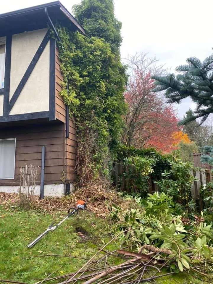 Reliable garden landscaping for year-round maintenance across Seattle, WA - Dreamer’s Landscaping