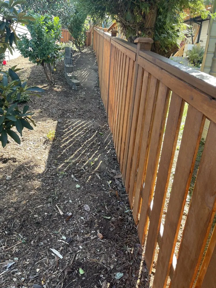 Affordable yard cleanup service near you in Seattle, WA by Dreamer’s Landscaping
