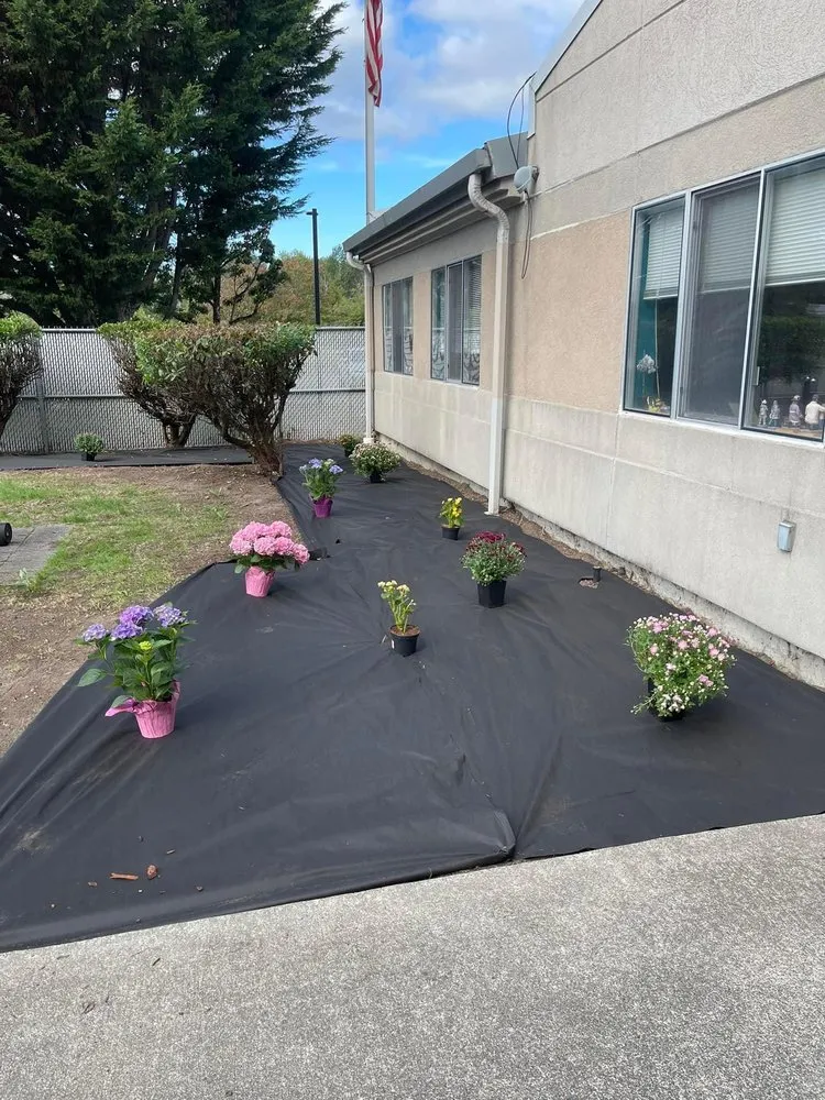 Expert outdoor landscaping for outdoor upgrades in Seattle, WA by Dreamer’s Landscaping