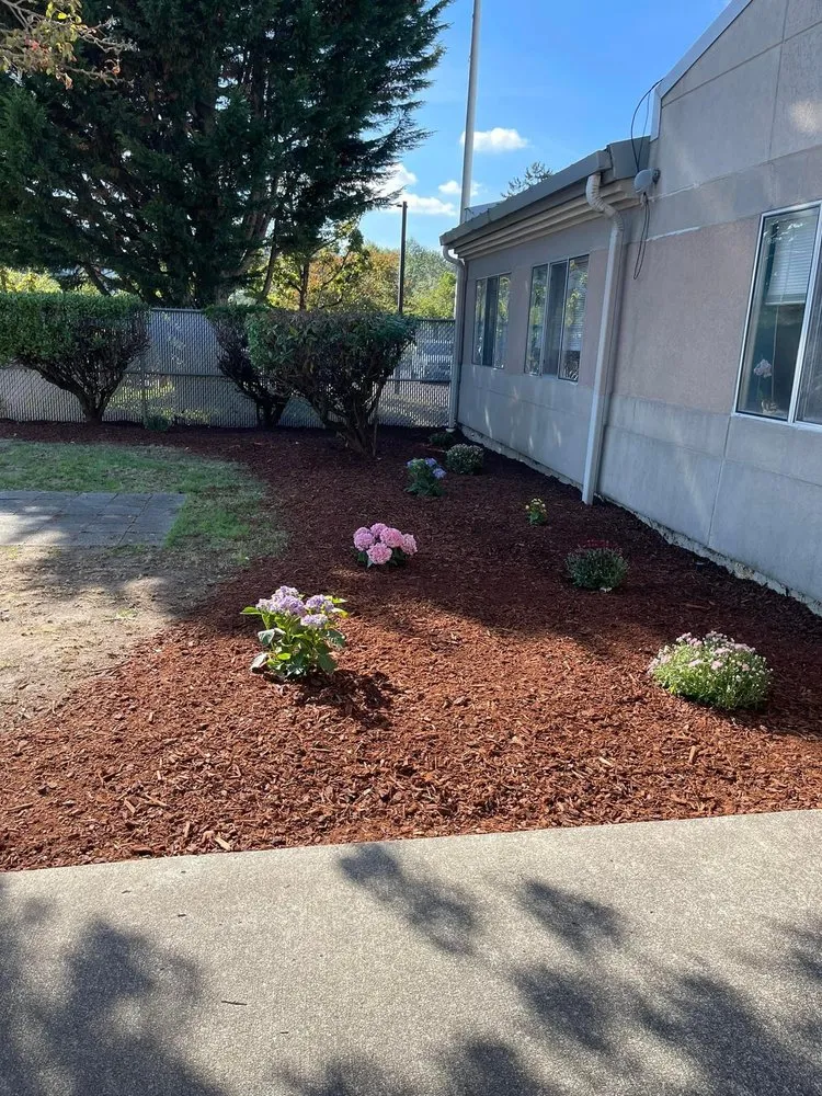 Local lawn mowing service in Seattle, WA by Dreamer’s Landscaping